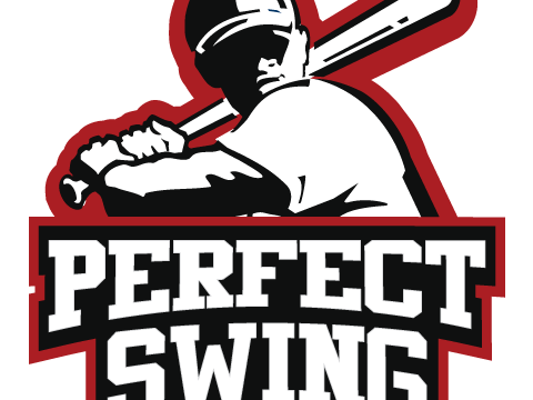 Perfect Swing
