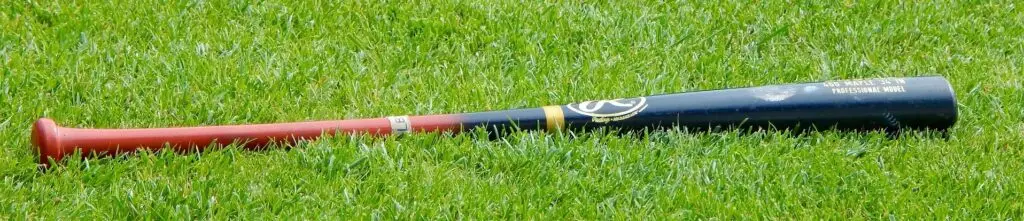 batting cage baseball bat